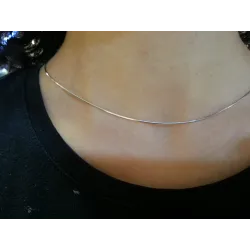 Rui 4
