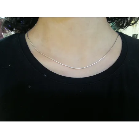Rui 7