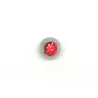 Rot / 023 - PT06