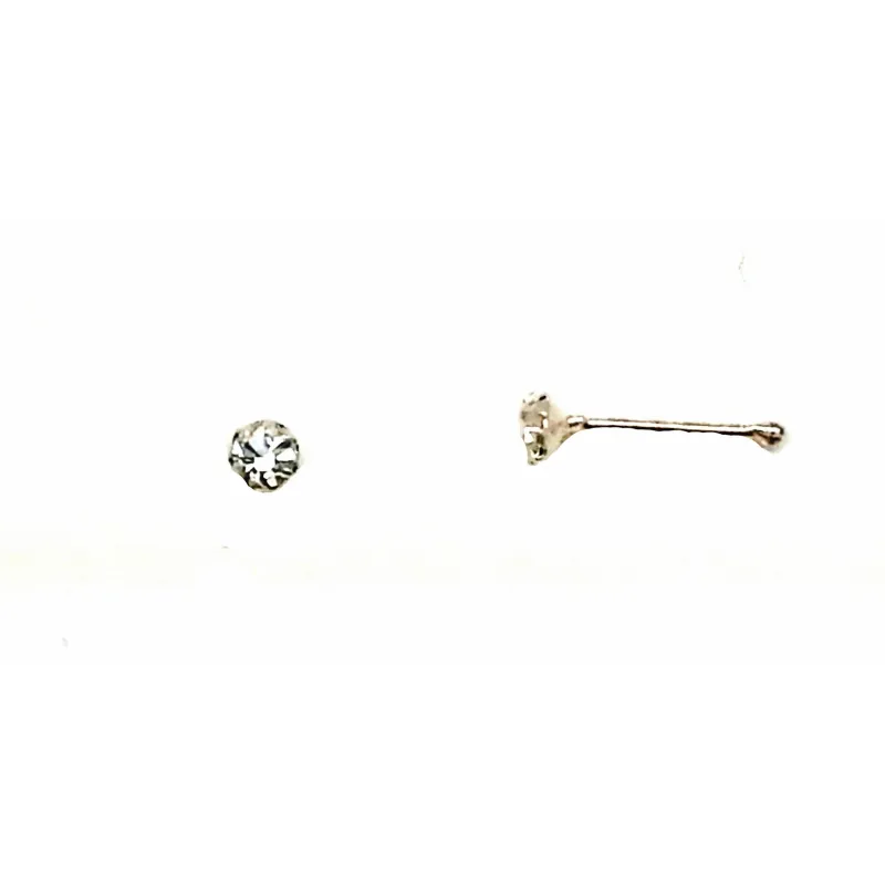 Transparent / 004 - PNZ