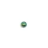 Multi / 037 - PT05