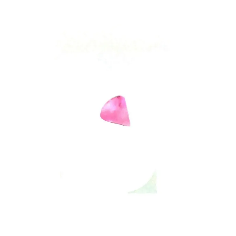 Pink Fluo / 059 - PT05