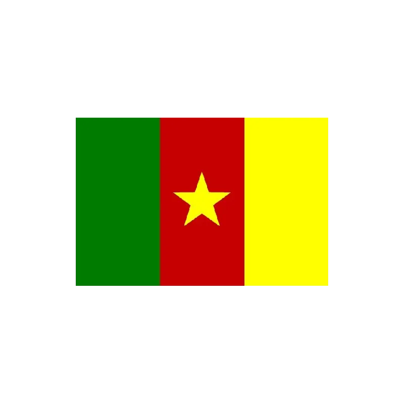 Drapeau du Cameroun à hyper bon prix balcon ,terrasse,etc . - bijouxbijoux.ch