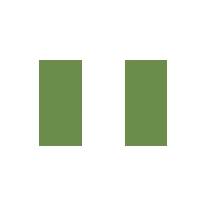 Drapeau du Nigeria,à prix très attractif.- bijouxbijoux.ch