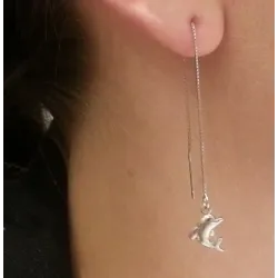 Rui 17